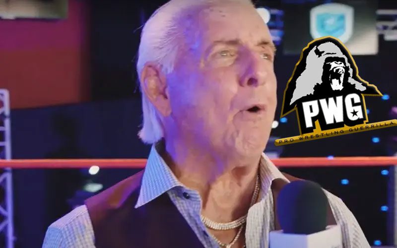 Ric Flair Has Never Heard Of Pro Wrestling Guerrilla