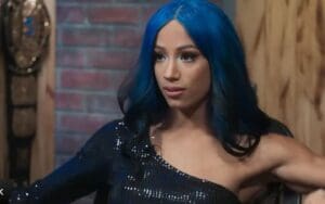 Sasha Banks' Pride Might Have Rubbed People The Wrong Way