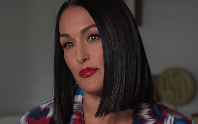 Nikki Bella Recalls Getting Robbed During A One-Night Stand
