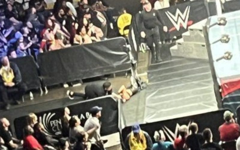 Match Stopped After Sonya Deville Suffers Bad Cut During WWE Live Event