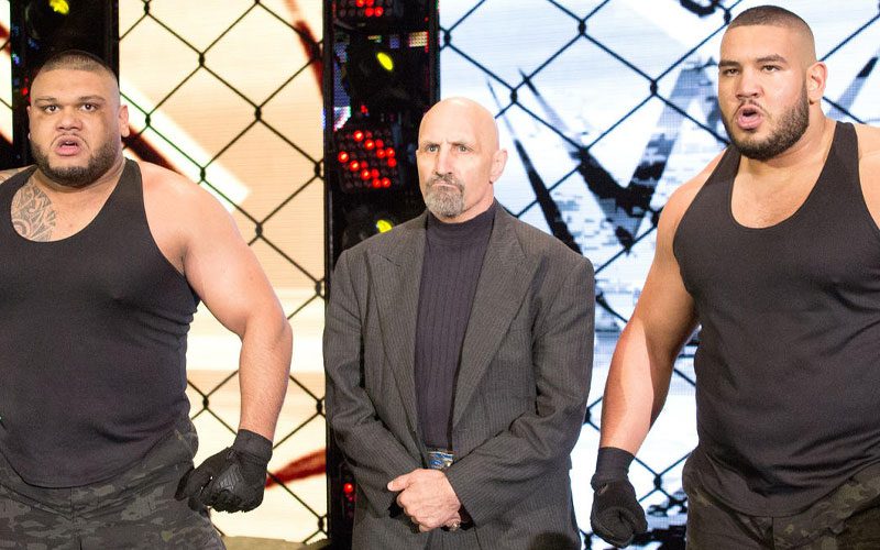 Paul Ellering Negotiating Deal For AOP’s WWE Return