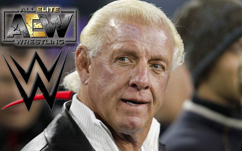 Ric Flair Would Take A Manager Role With AEW Or WWE