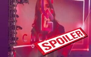 WWE Might Have Spoiled Creative Direction For Chelsea Green