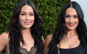 The Bella Twins Set To Star In New Reality Dating Show