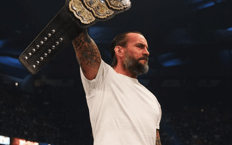 CM Punk Sets The Record Straight With Scathing Deleted Message