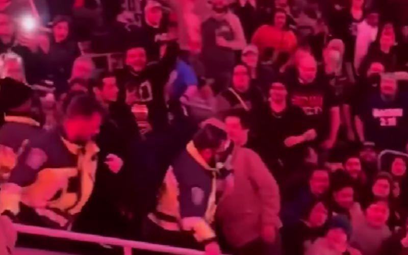 Fan Dragged Out By Security After Brawling In Crowd During WWE RAW