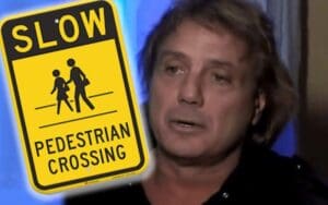 Marty Jannetty's Niece Allegedly Hits Pedestrian Leaving Them In Critical Condition