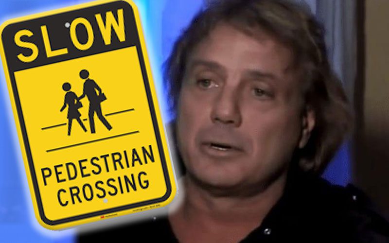 Marty Jannetty’s Niece Allegedly Hits Pedestrian Leaving Them In Critical Condition