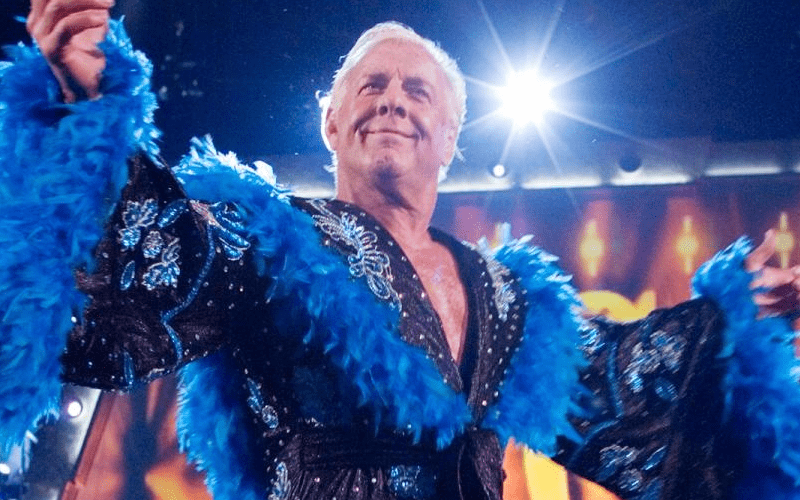 WWE Told Ric Flair To ‘Tone It Down’ On Road To WrestleMania