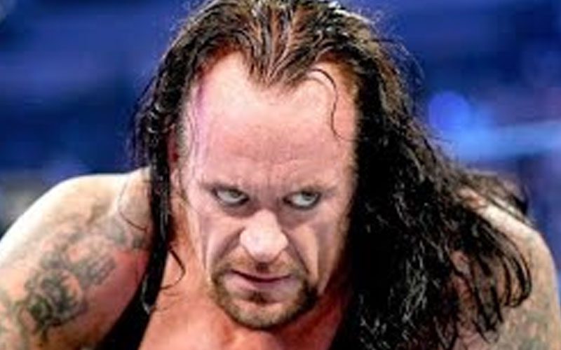 The Undertaker Was Mad At Ex-WWE Star For Swimming In Shark-Infested Waters