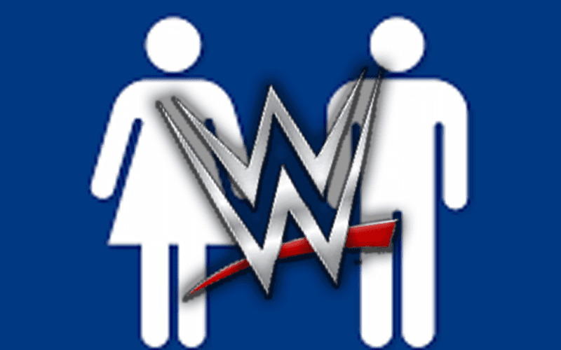 Call For WWE To Remove Gender Identifiers From Matches