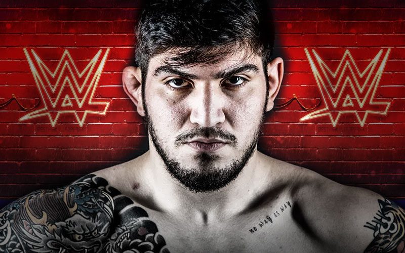 Dillon Danis Could Be The Next MMA Star To Make WWE Jump