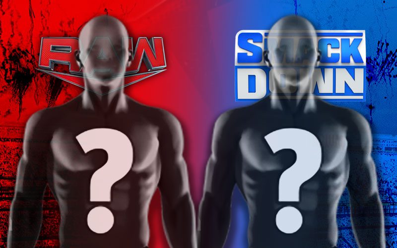 Ex WWE Superstars Set To Team For The First Time Ever