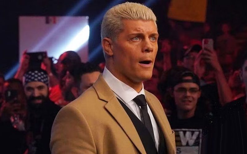 Cody Rhodes Admits To Being Too Immature For AEW EVP Job