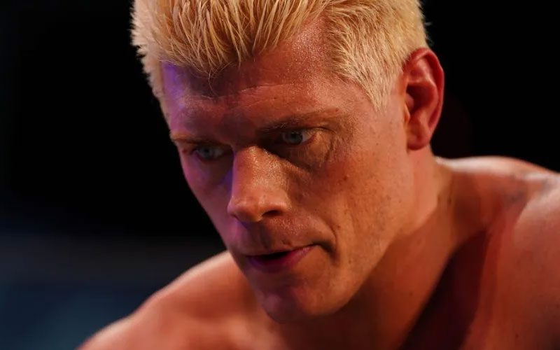 Cody Rhodes Is Worried His Fan Reaction Could Stop Any Minute