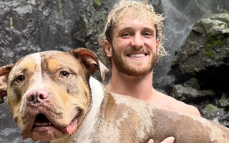 Logan Paul Shows Off His Pet Dog’s Astounding Growth