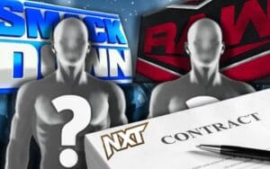 WWE Tag Team's Plan After Contract Expires