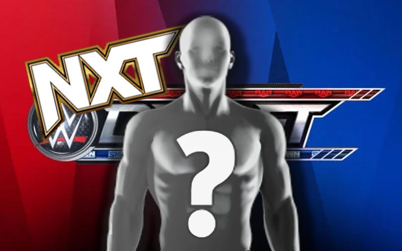 Former NXT Women’s Champion In Texas For WWE Draft