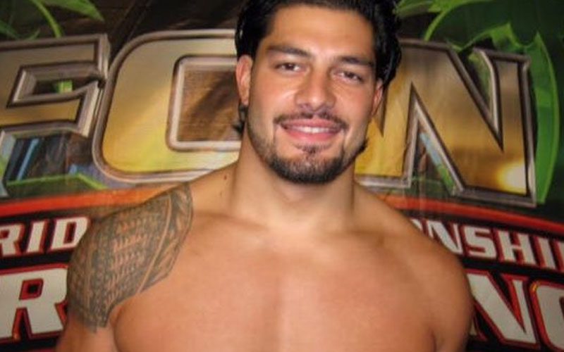 Former WWE Star Recalls Early Days with Roman Reigns in Developmental