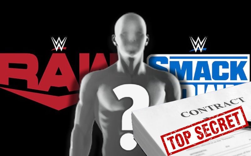 Released WWE Talent Secretly Returns to the Company