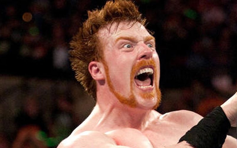 Sheamus Started Off His WWE Career With A Lot Of Backstage Heat