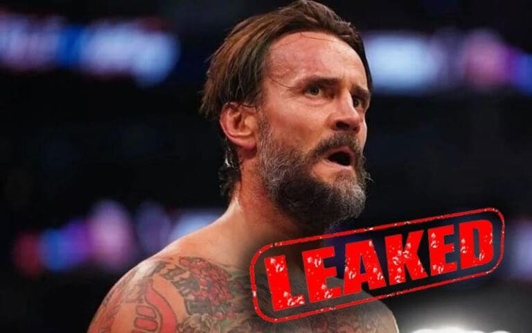 Pro Wrestling Journalist Unloads On CM Punk After Leaking Personal Email