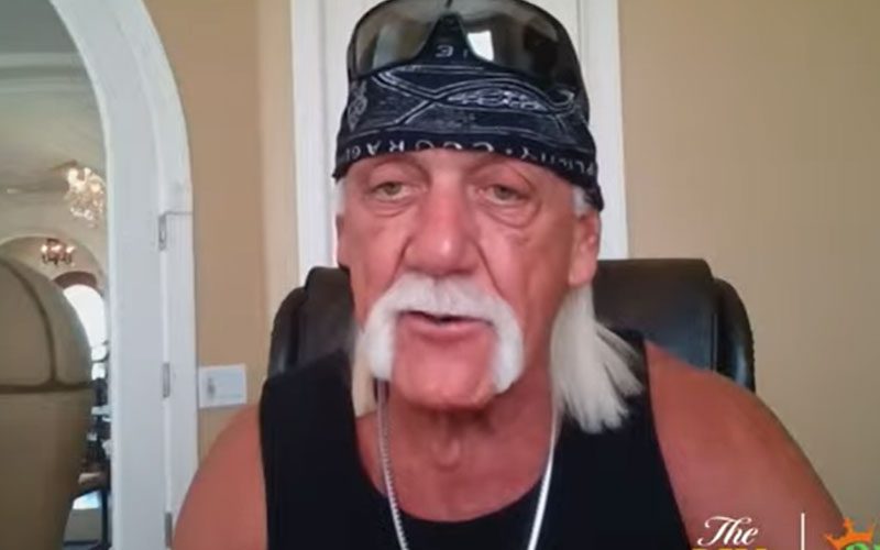 Hulk Hogan Says Racist Comments Were Not A Representation Of Who He Was