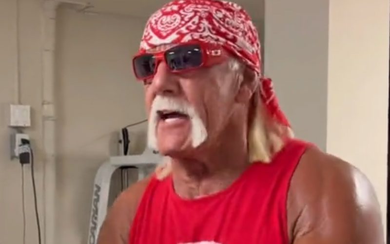 Hulk Hogan Allegedly Confronted Fan With A Shotgun For Showing Up At His House