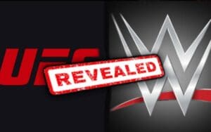 Corporate Structure Of New WWE & UFC Merger Revealed