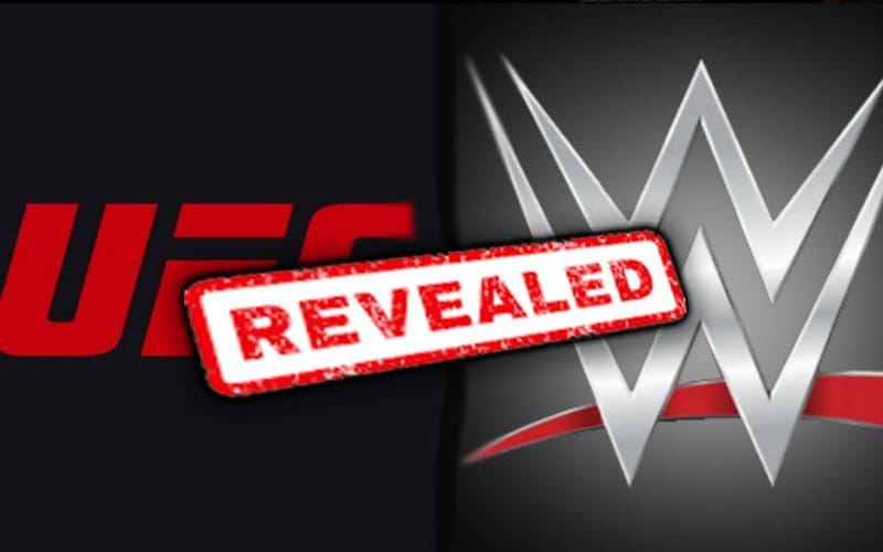Corporate Structure Of New WWE & UFC Merger Revealed