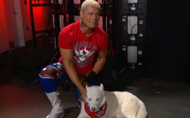 Cody Rhodes' Reaction To Pharaoh's First WWE RAW Appearance