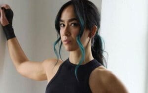 AJ Lee Makes Big Proclamation About Her In-Ring Future