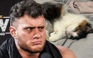 MJF Uses His Cat To Guilt-Trip Fans Over Forbidden Door Match