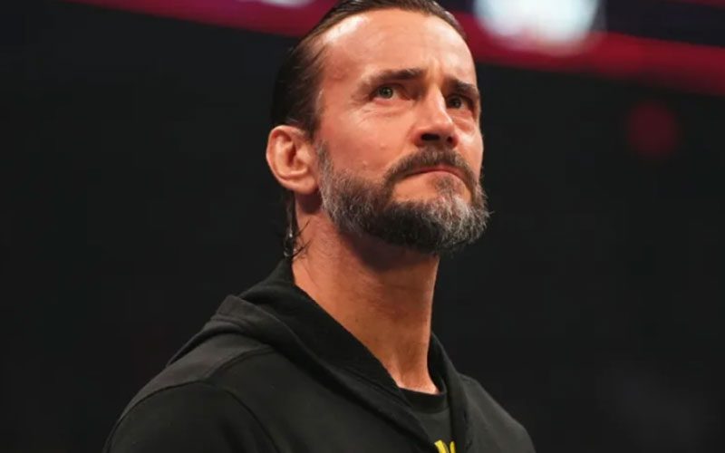 Thunder Rosa Admits CM Punk’s AEW Return Will Offend Some Fans