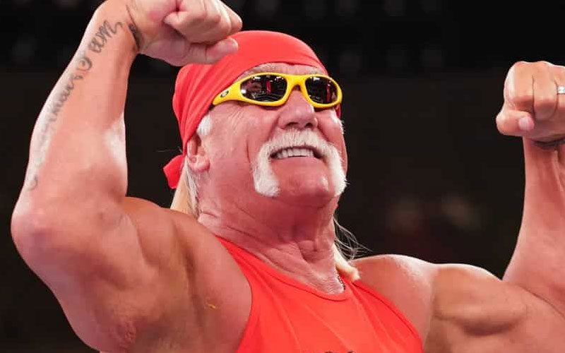Hulk Hogan Confirms Current WWE Status