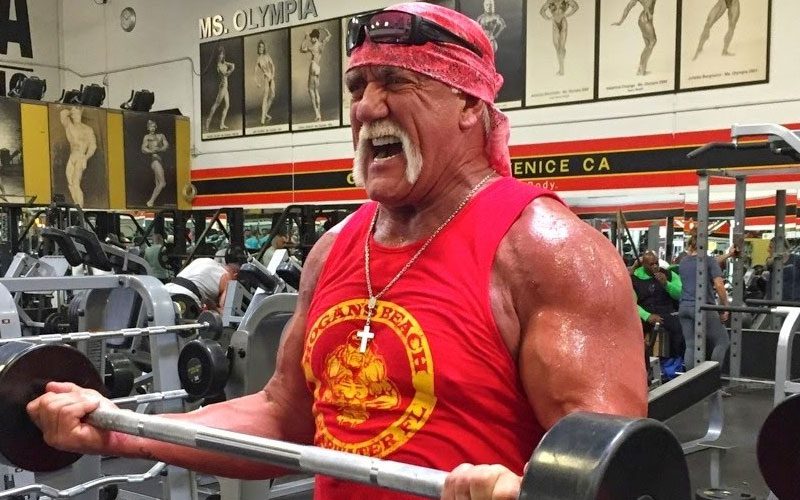 Hulk Hogan Is ‘Ramping Up’ His Physical Condition