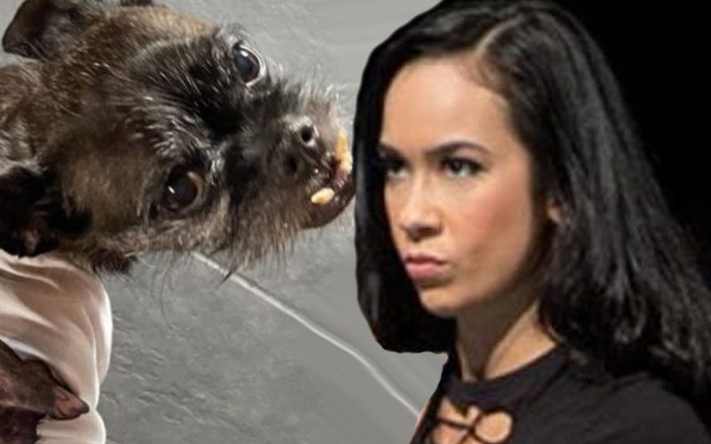 AJ Lee Seemingly Confirms Her Dog Larry Lost Teeth In Brawl Out