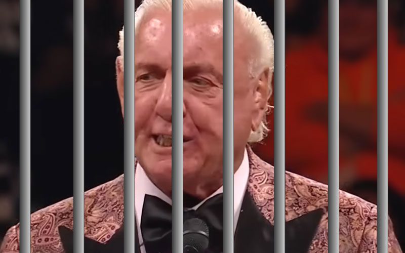 Ric Flair Once Received 30-Day Jail Sentence Over Insane Amount Of Speeding Tickets