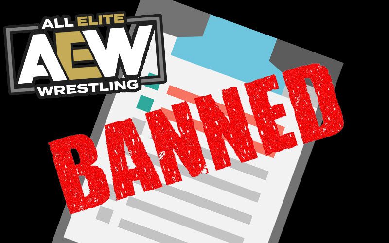 AEW Personality Mocks Company’s Banned Moves List