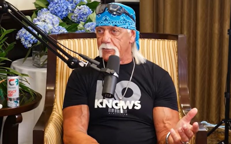 Hulk Hogan Claims He Always Focused On His Wrestling Character Despite Real-Life Turmoil