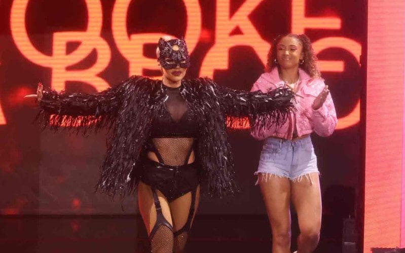 Shawn Michaels Says They Have No Problems Booking Female Stories In NXT