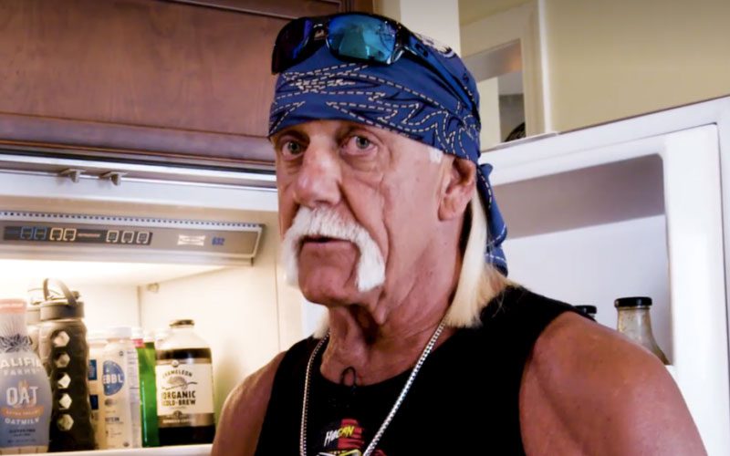 Hulk Hogan Explains Why He Stopped Drinking Earlier This Year