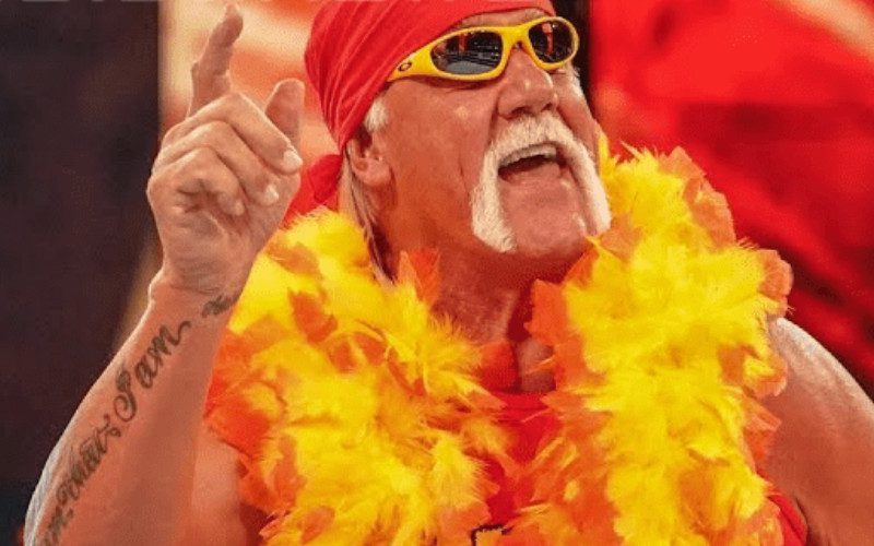 Hulk Hogan 100% Owns His Pro Wrestling Name After Buying It For Huge Bargain