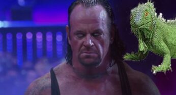 The Undertaker Protected Michelle McCool From Intimidating Iguana