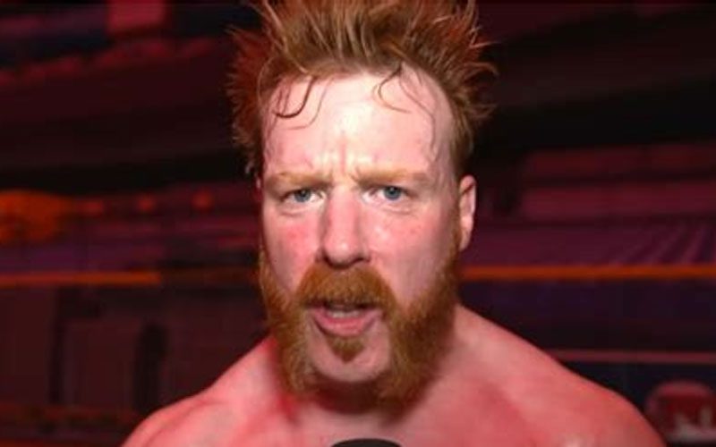 Sheamus Is Irate After Controversial Loss On WWE SmackDown