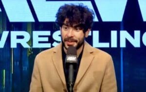 Tony Khan Heavily Involved In AEW Fight Forever Video Game