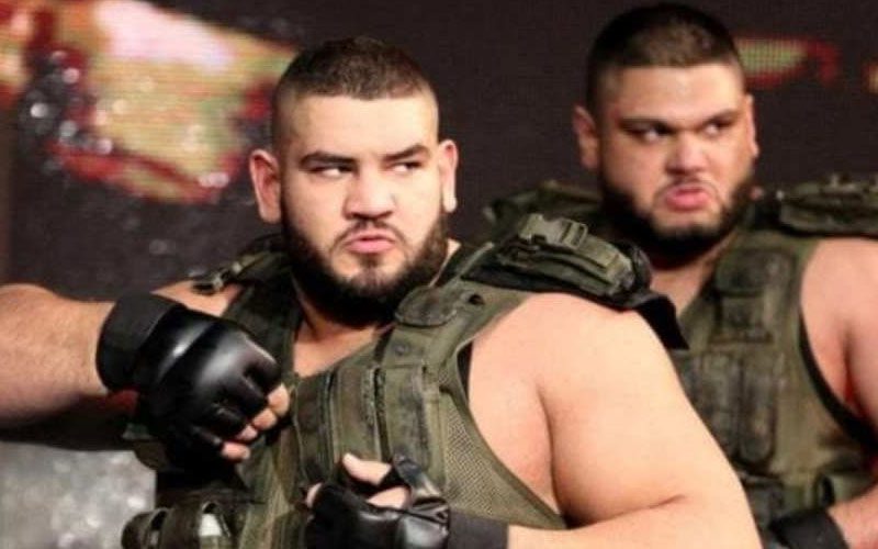 WWE Might Have Secretly Re-Hired The Authors Of Pain Months Ago