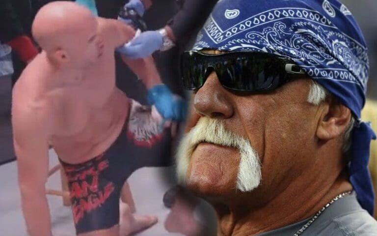 Hulk Hogan's Nephew Takes Brutal KO In MMA Fight