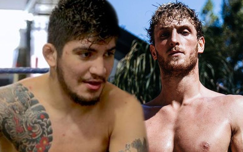 Logan Paul Fires Back After Dillon Danis Accuses Him Of Steroid Use