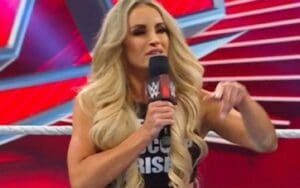 Translation Of Profane Fan Chants Trish Stratus Received During WWE RAW